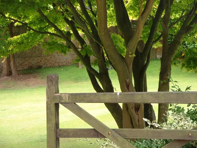 Vietnam needs to convert green pledges into tangible actions