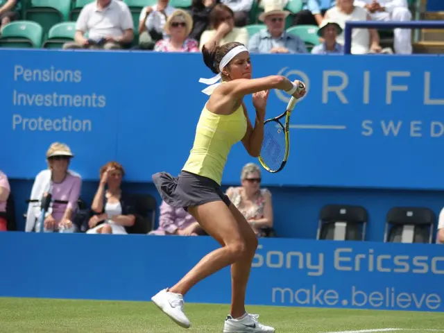 Vice President Kamala Harris hints at a likely presidential run in 2028