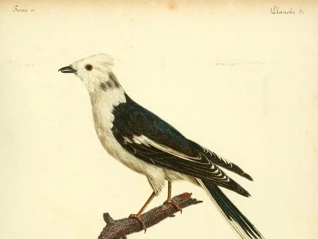 Aim in life: Amassing riches?