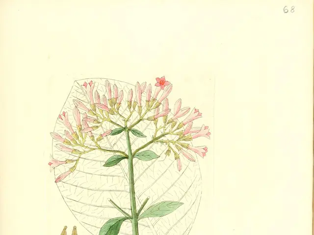 Transforming Ideas into Actions: Bridging the Gap Between Thought and Implementation