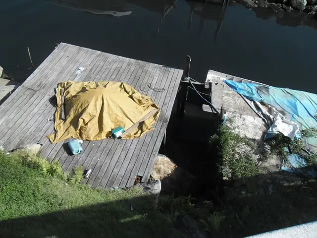 Bridge Connecting India and Sri Lanka: Evaluating Evidence from Scientific Research on Ram Setu