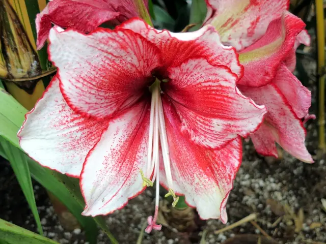 Starting Up and Expanding a Soil Mixing Operation