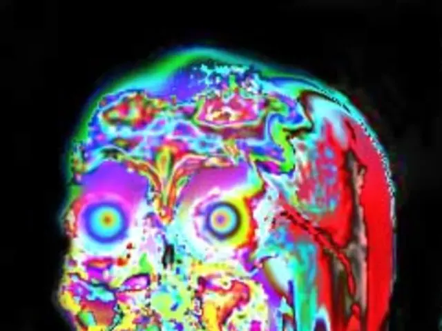 Brain's Thalamus Revealed as Key Player in Memory Formation and Neural Adaptability