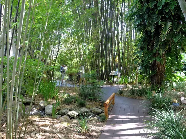 College Students at Park University Vote for Their 2019-20 Student Government Leaders and Senators