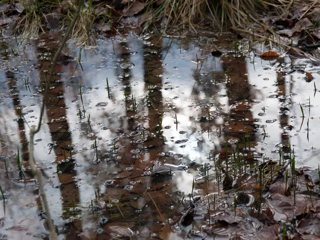 Temperature-Dependent Water Density Study