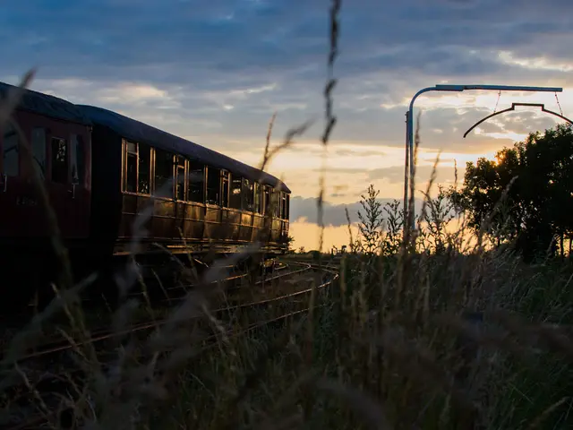 There is a train on the left side of the image and there is a pole and trees on the right side,...